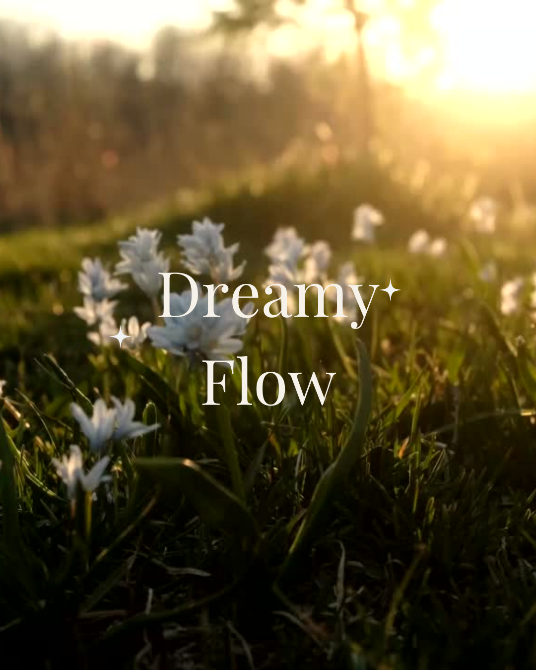 Dreamy Flow