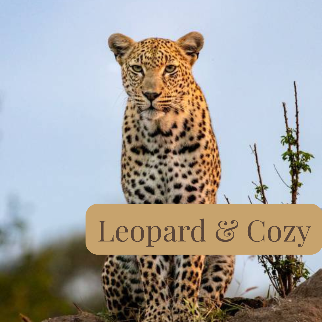 Leopard & cozy